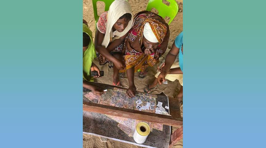 Pemba City Council Project